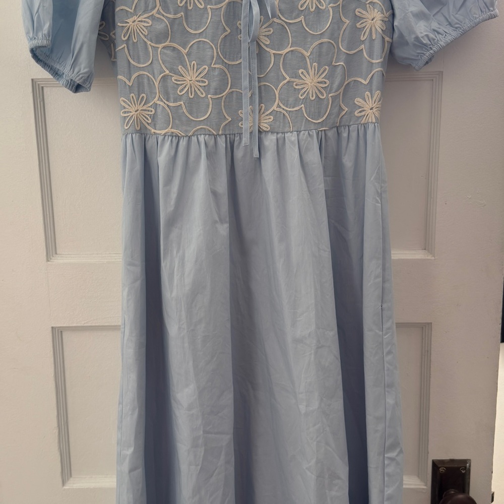 Charming Blue Dress with Floral Embroidery